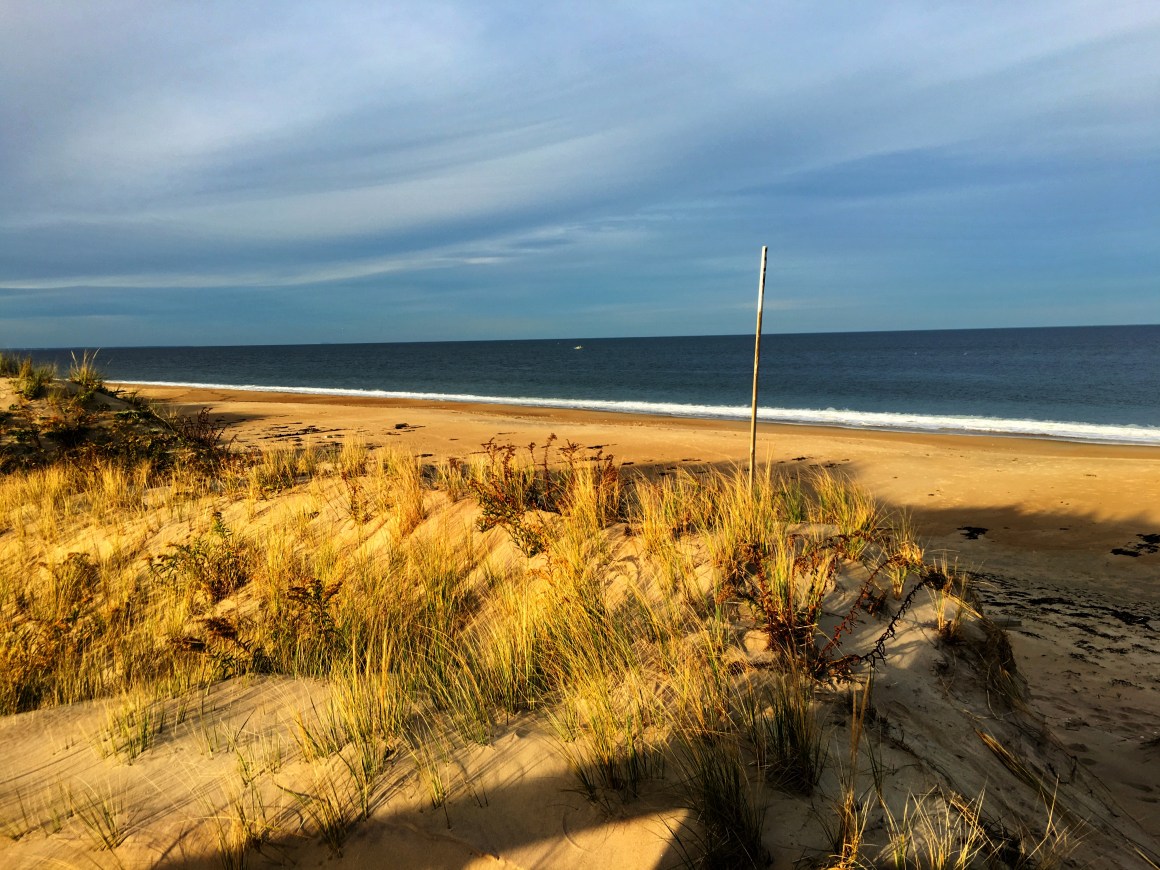 Plum Island Nature Preserve.