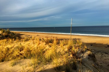 Plum Island Nature Preserve.