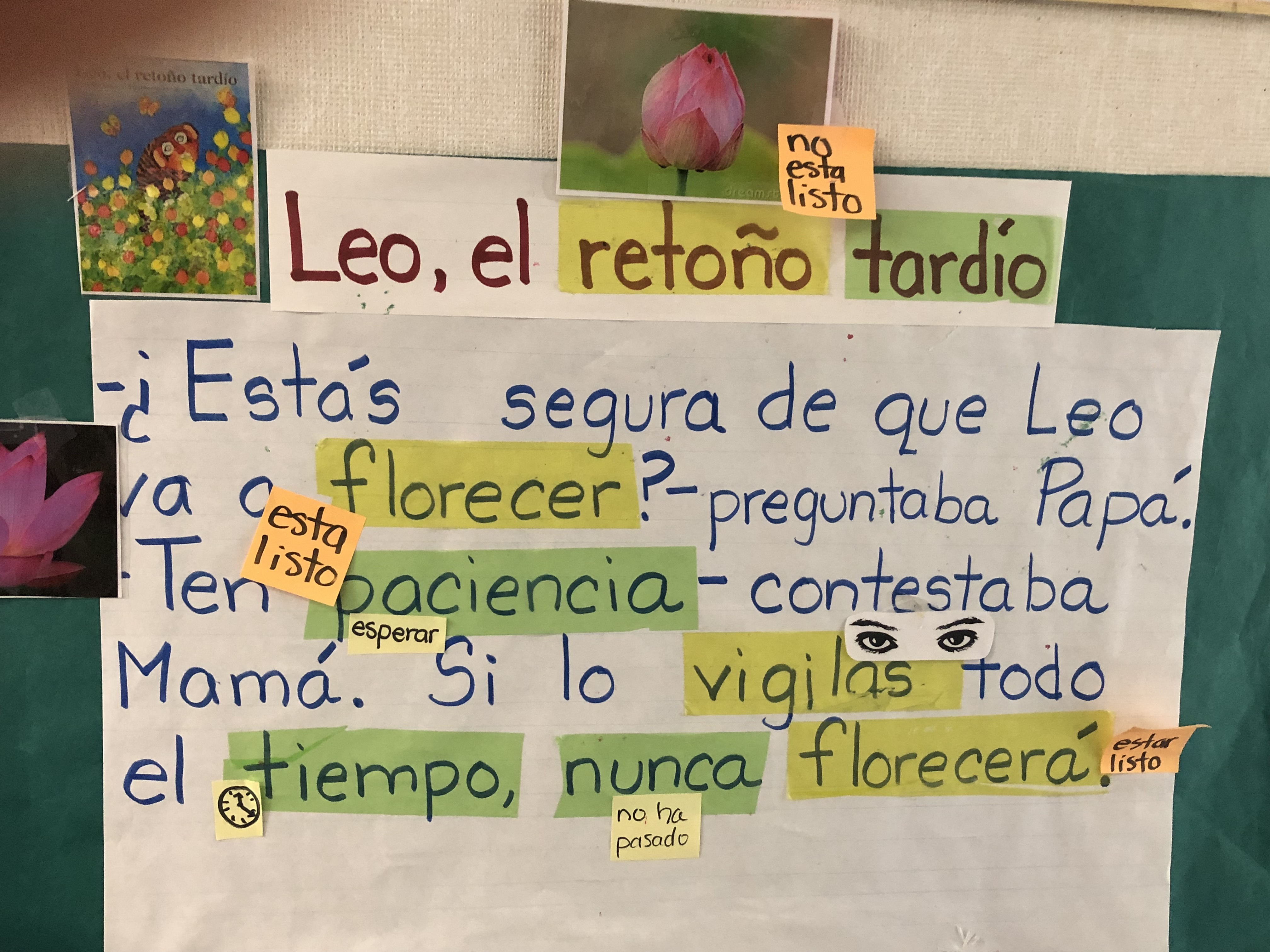 An excerpt from the Spanish edition of the children's book, Leo the Late Bloomer, on the wall in an elementary classroom at Ann Leavenworth School in Fresno, California.