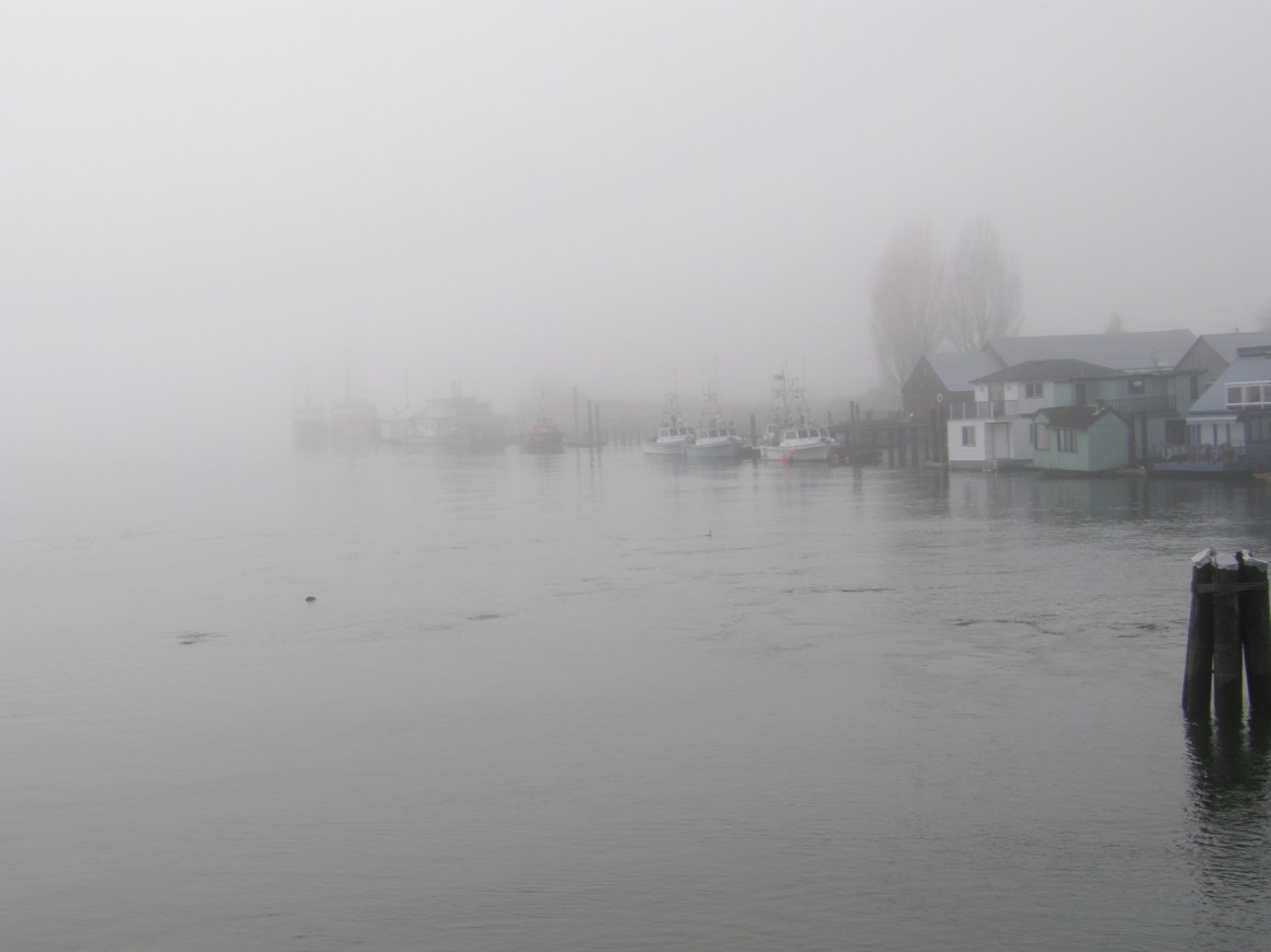 Mist on the Fraser River in Delta, British Columbia, Canada.