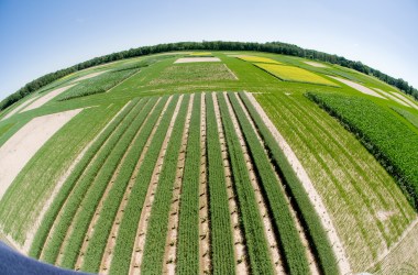 Biofuels.