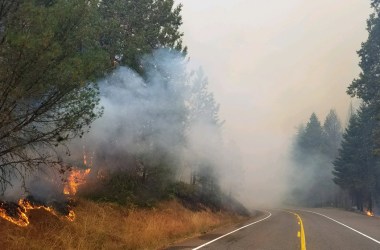 The fire burns near Oregon 138, east of Glide in a closed section of the highway, on September 7th, 2017.