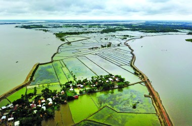 In southern Bangladesh, soil embankments protect rise paddies from the Kapotaksma (left) and Shakbaria (right) rivers during the rainy season, but the heavy storm surges frequently destroy them.