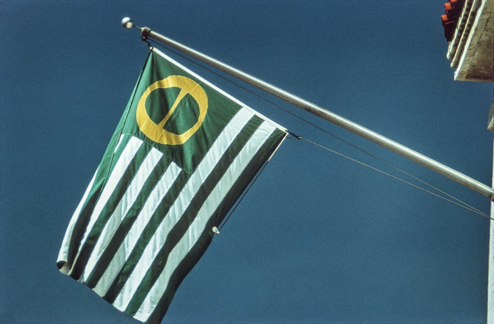 An ecology flag flies over Santa Barbara.