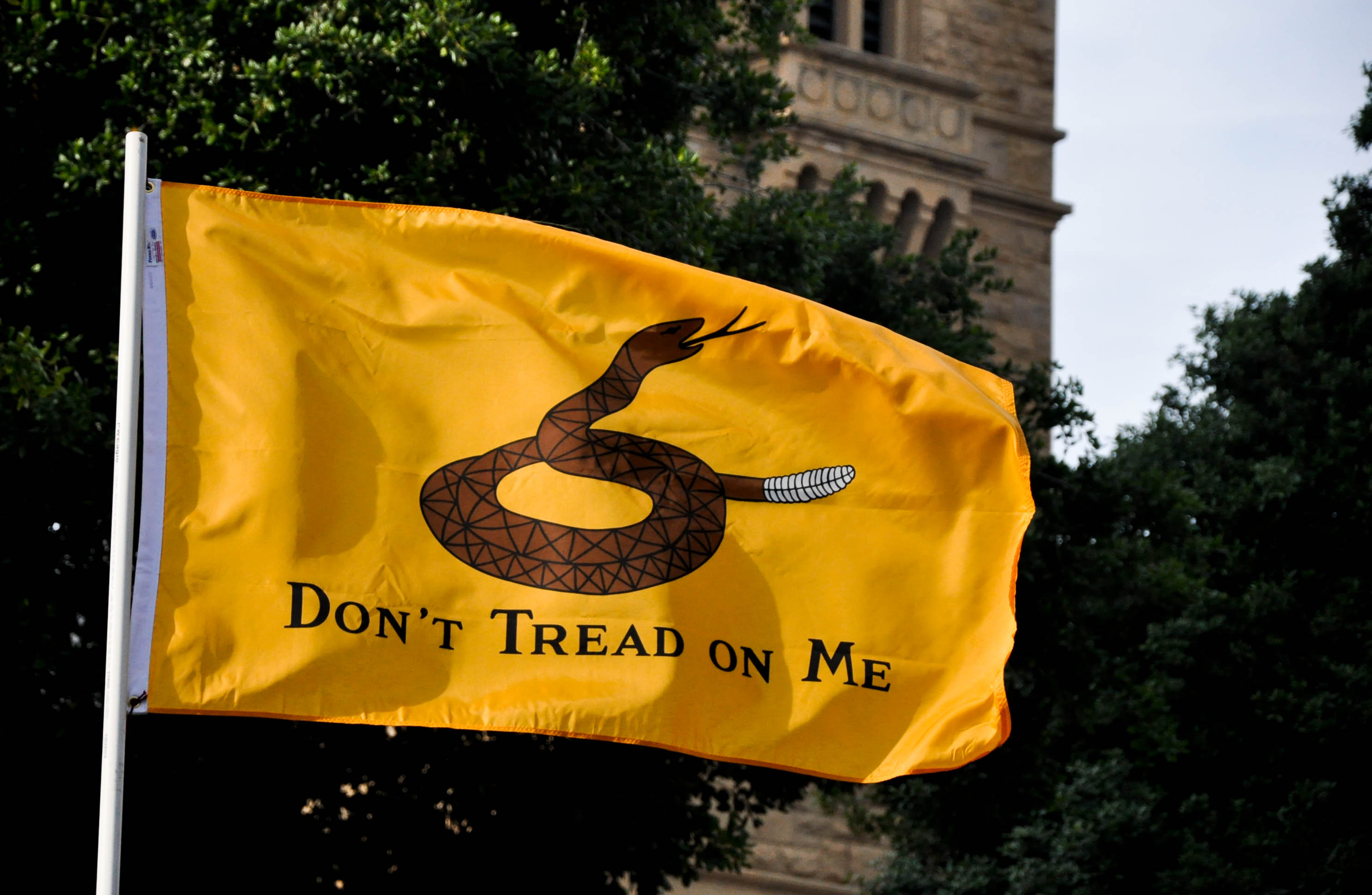 A Gadsden flag.