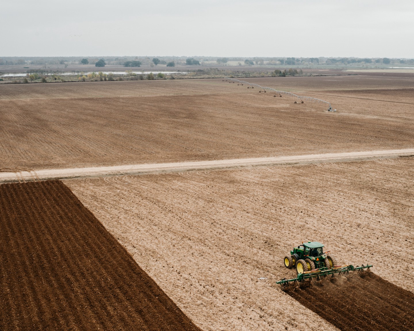 A farmer tilling his field. Most farmers in this area only grow cotton, because it is poisonous to the hogs.