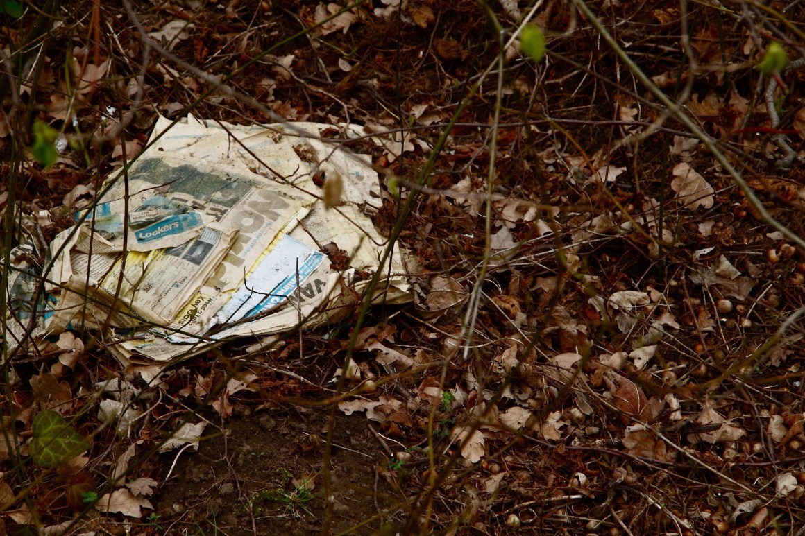 Rotting newspaper