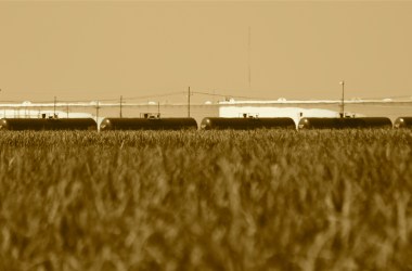 Tank cars offloading crude oil in St. James, Louisiana.