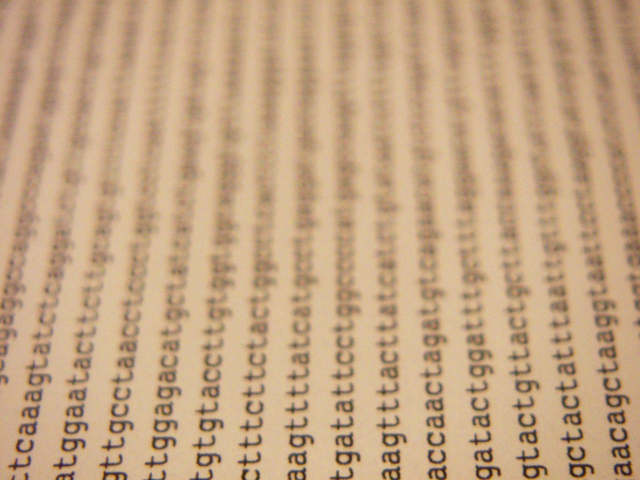 Scientists Quantify How Different Humans Are From Each Other, Genetically