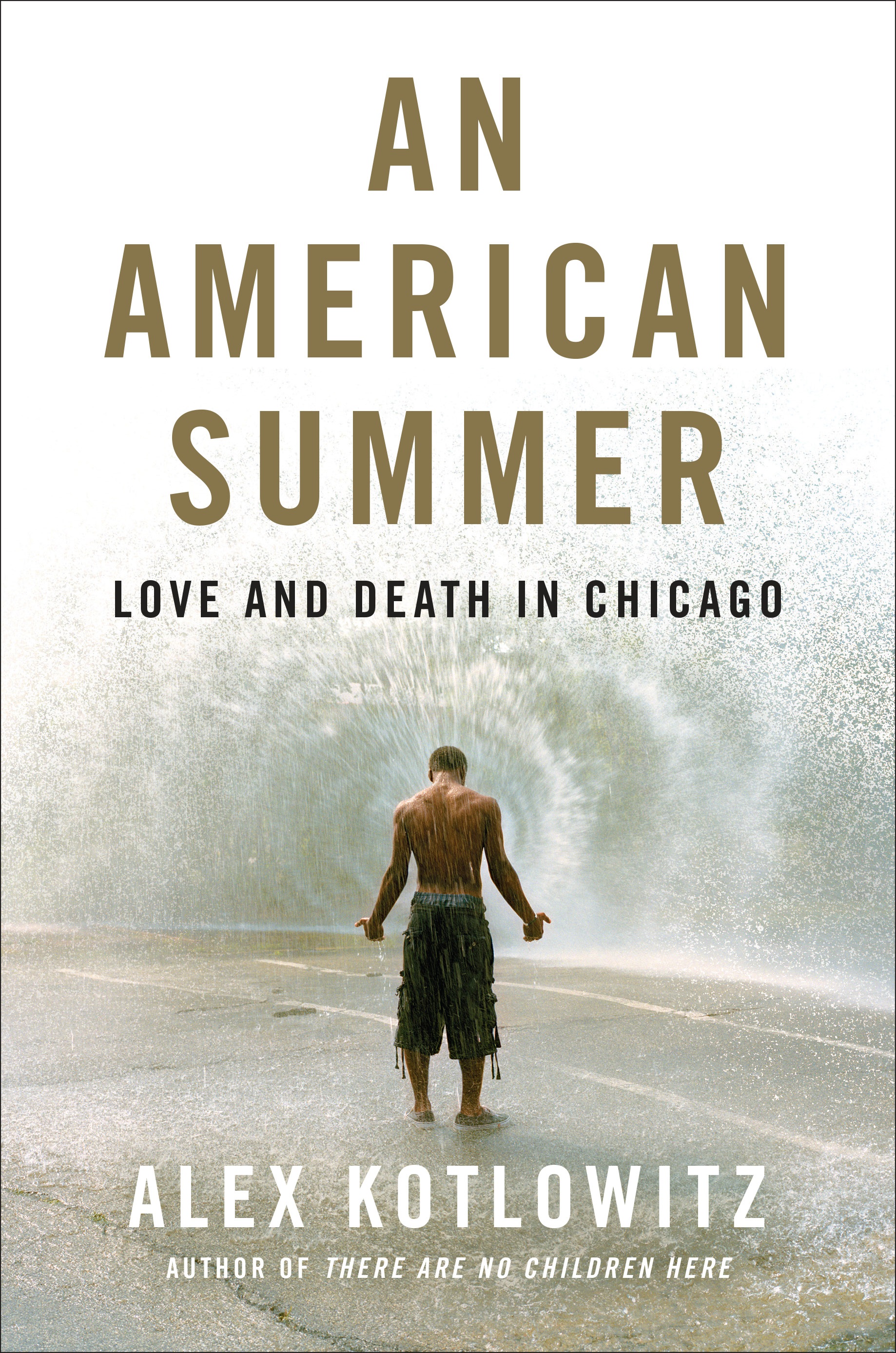 An American Summer: Love and Death in Chicago.