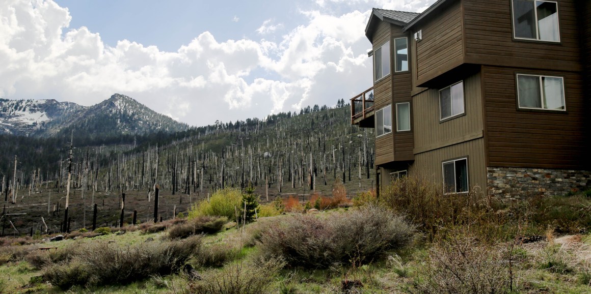 Newly constructed homes dot a charred hillside in El Dorado County, California.