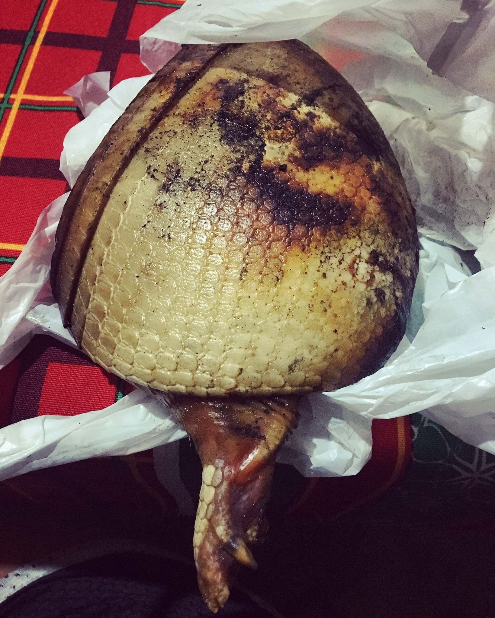 Dinner in São Pedro: the hindquarters of an armadillo that someone hunted in the surrounding forest.