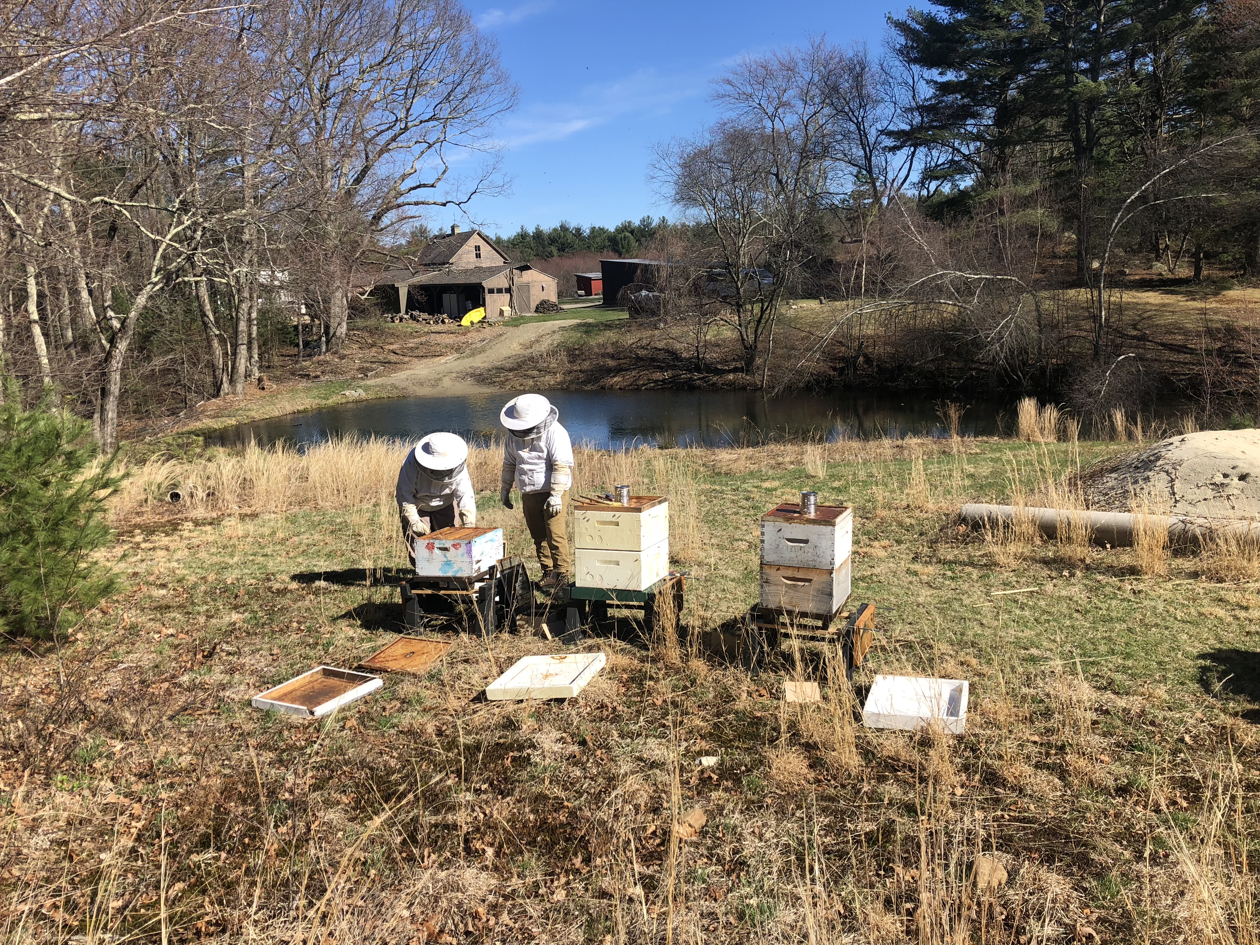 Wahya Wolfpaw and Anne Kelty keeping bees at Global Village Farm.