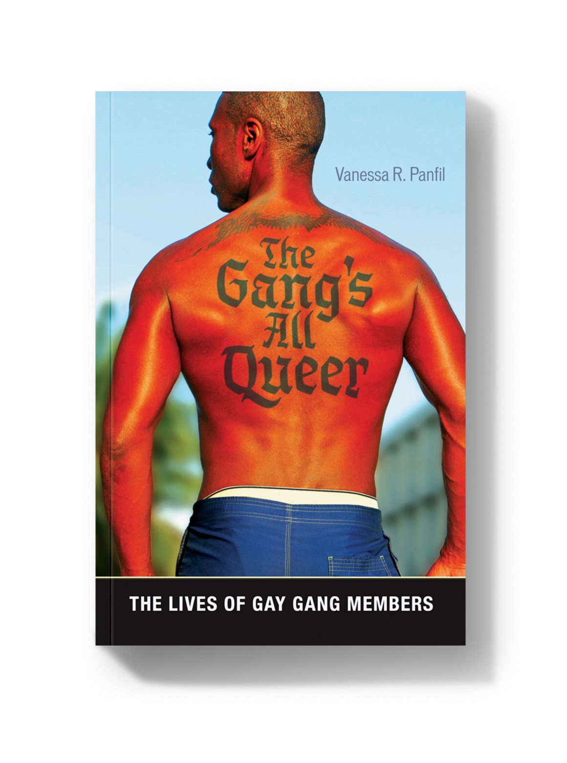 The Gang's All Queer: The Lives of Gay Gang Members.