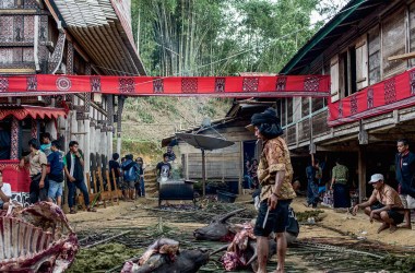 At a funeral in a remote corner of Indonesia, water buffalo are sacrificed in order to help carry the deceased to the afterlife.