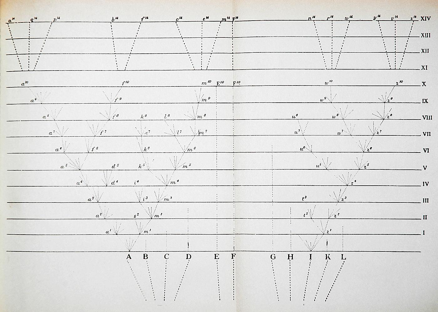 This tree diagram, used to show the divergence of species, is the only illustration in The Origin of Species.