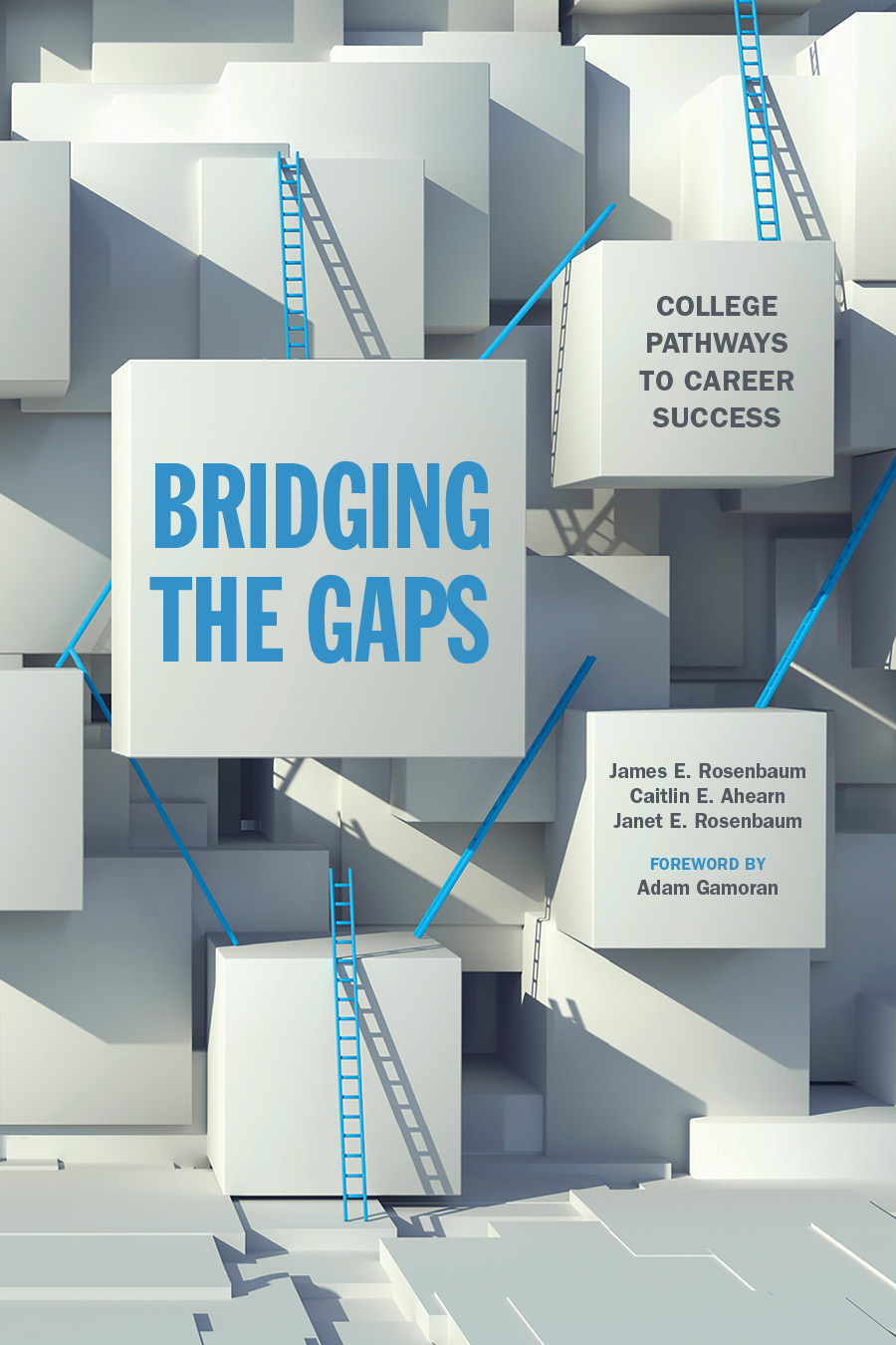 Bridging the Gaps: College Pathways to Career Success.