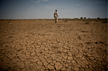 Extreme events like a prolonged drought in the Sahel region are causing a massive environmental migration crisis.