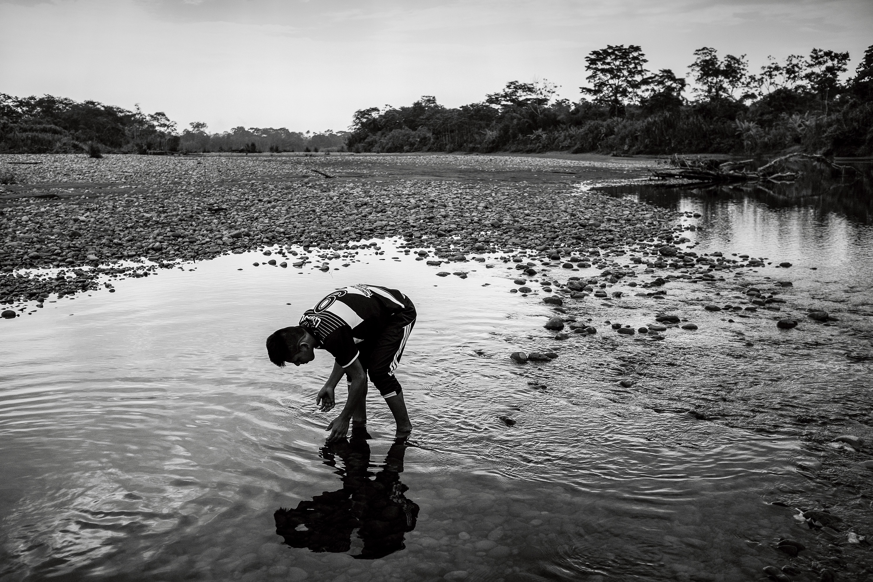 Roberto Criollo searches for small catfish in the Aguarico River. Although the forests and rivers around Dureno no longer provide enough animal protein to satisfy the Cofán's dietary needs, they are still essential to Cofán subsistence. The people of Dureno eat both storebought and gathered foods every day. They still consider themselves to be 