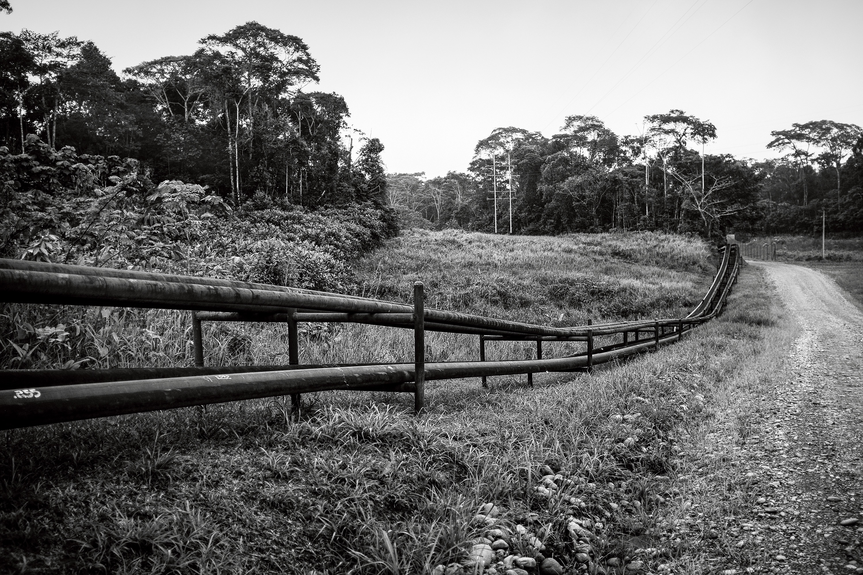 Small pipelines join the oil wells that surround Dureno to the Trans-Ecuadorian Pipeline, which brings crude from Cofán territory over the Andes to a Pacific port.