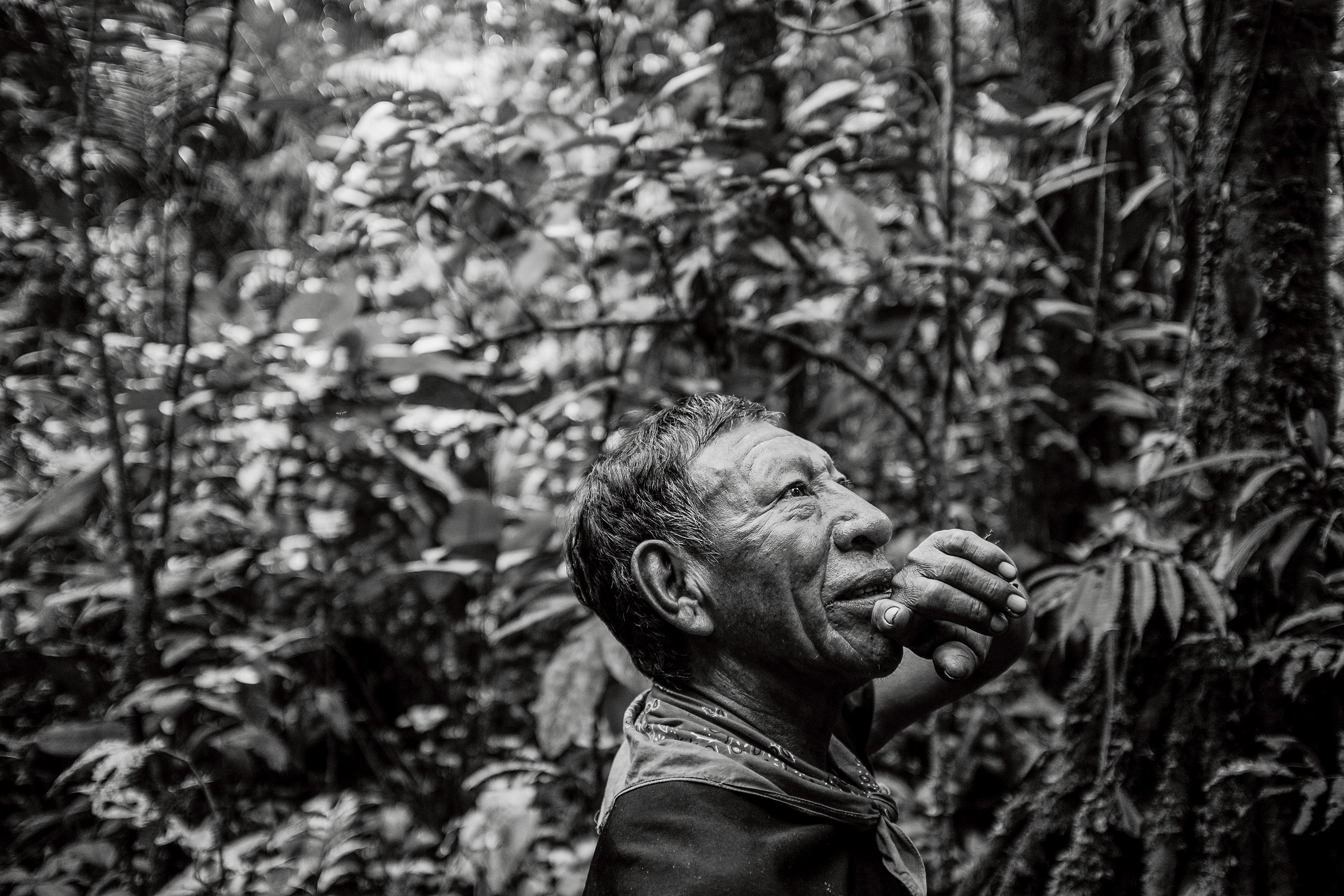 Alejandro Criollo, a Cofán elder, hunting in the forest behind his Dureno home. Alejandro is one of the few Cofán men who wear a traditional tunic every day.