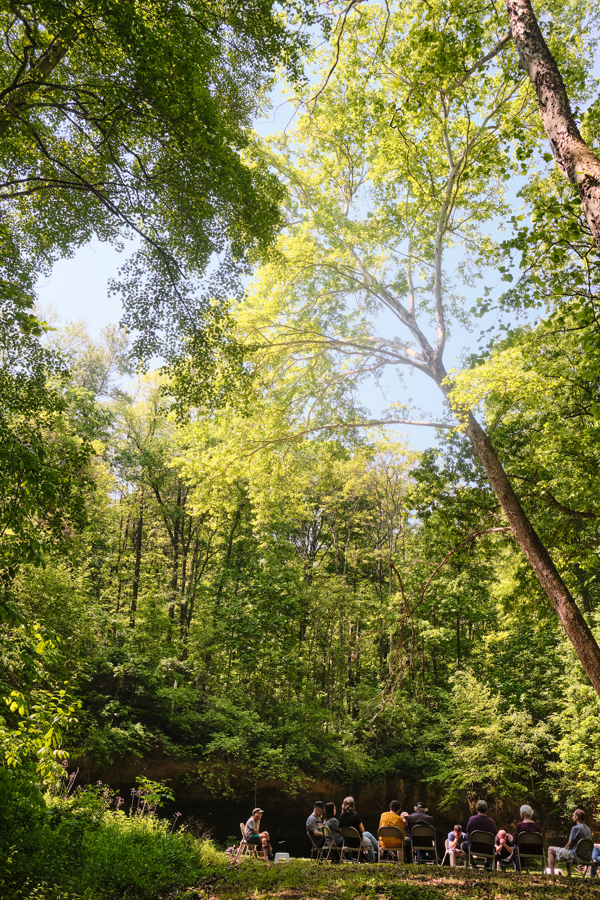 A Forest Listening Room at Robinson's Cave in Wayne National Forest in May.