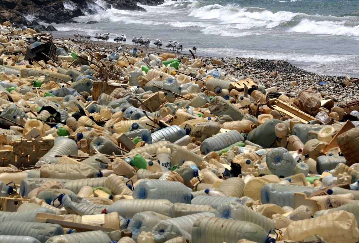 Seagulls search for food near a sewage discharge area next to piles of plastic bottles washed away by the water on the seaside of Ouzai, south of Beirut, on July 19th, 2018. Many Lebanese nationals are refraining from heading to the beach this summer after reports about high levels of pollution along the country's Mediterranean coast, despite reassurances from government officials that the beaches remain safe.