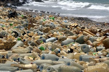 Seagulls search for food near a sewage discharge area next to piles of plastic bottles washed away by the water on the seaside of Ouzai, south of Beirut, on July 19th, 2018. Many Lebanese nationals are refraining from heading to the beach this summer after reports about high levels of pollution along the country's Mediterranean coast, despite reassurances from government officials that the beaches remain safe.