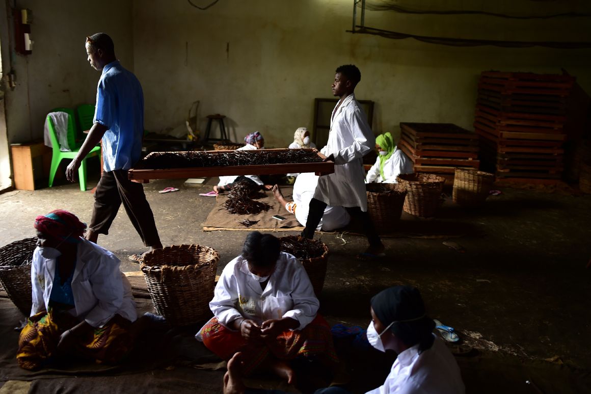 Laborers process dried vanilla pods at the Vaniacom factory on July 29th, 2018, in Moroni, Comoros. The volcanic archipelago off Africa's eastern coast is the world's second-largest producer of vanilla.