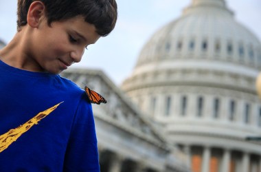 A monarch butterfly lands on a boy's shoulder.