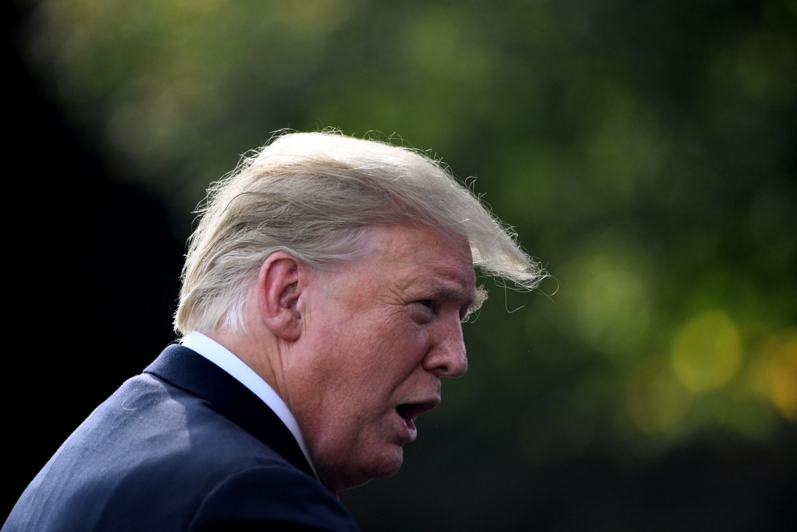 President Donald Trump talks to the press as he leaves the White House on October 9th, 2018, in Washington, D.C.