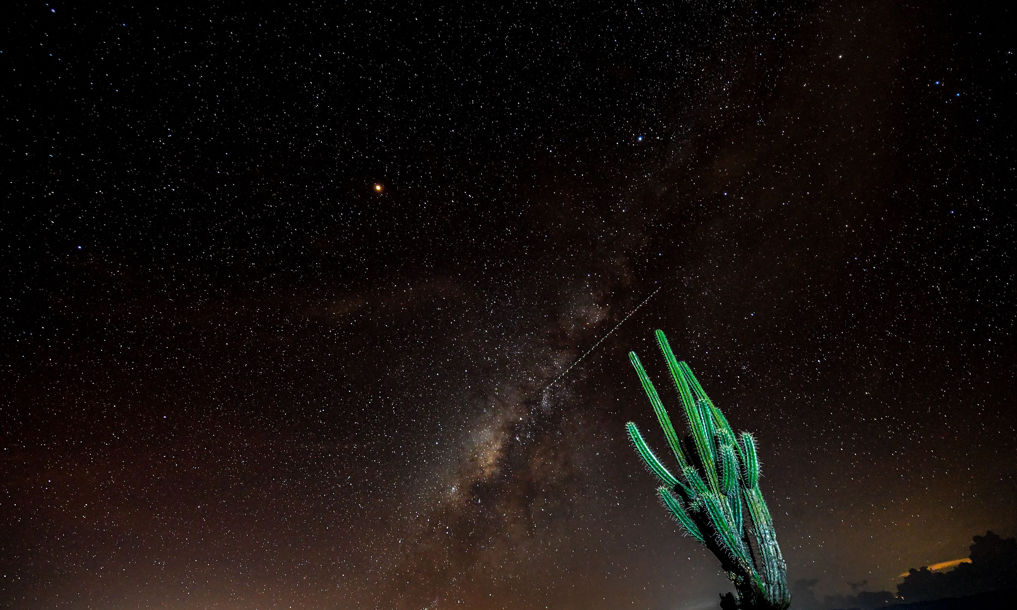 View of a prickly pear and the Milky Way in the sky over the Tatacoa Desert, in the department of Huila, Colombia, on October 11th, 2018.