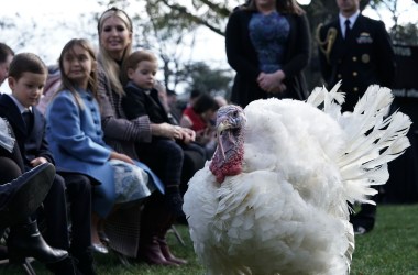 White House adviser and first daughter Ivanka Trump and her children Arabella, Joseph, and Theodore attend a turkey pardoning event as they watch Peas, one of the two turkeys, at the Rose Garden of the White House on November 20th, 2018, in Washington, D.C. The two pardoned turkeys, Peas and Carrots, will spend the rest of their lives at a farm after the annual Thanksgiving presidential tradition.