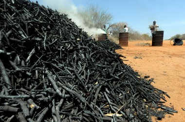 A man makes charcoal from twigs pruned from local forest during a controlled charcoal-making exercise.