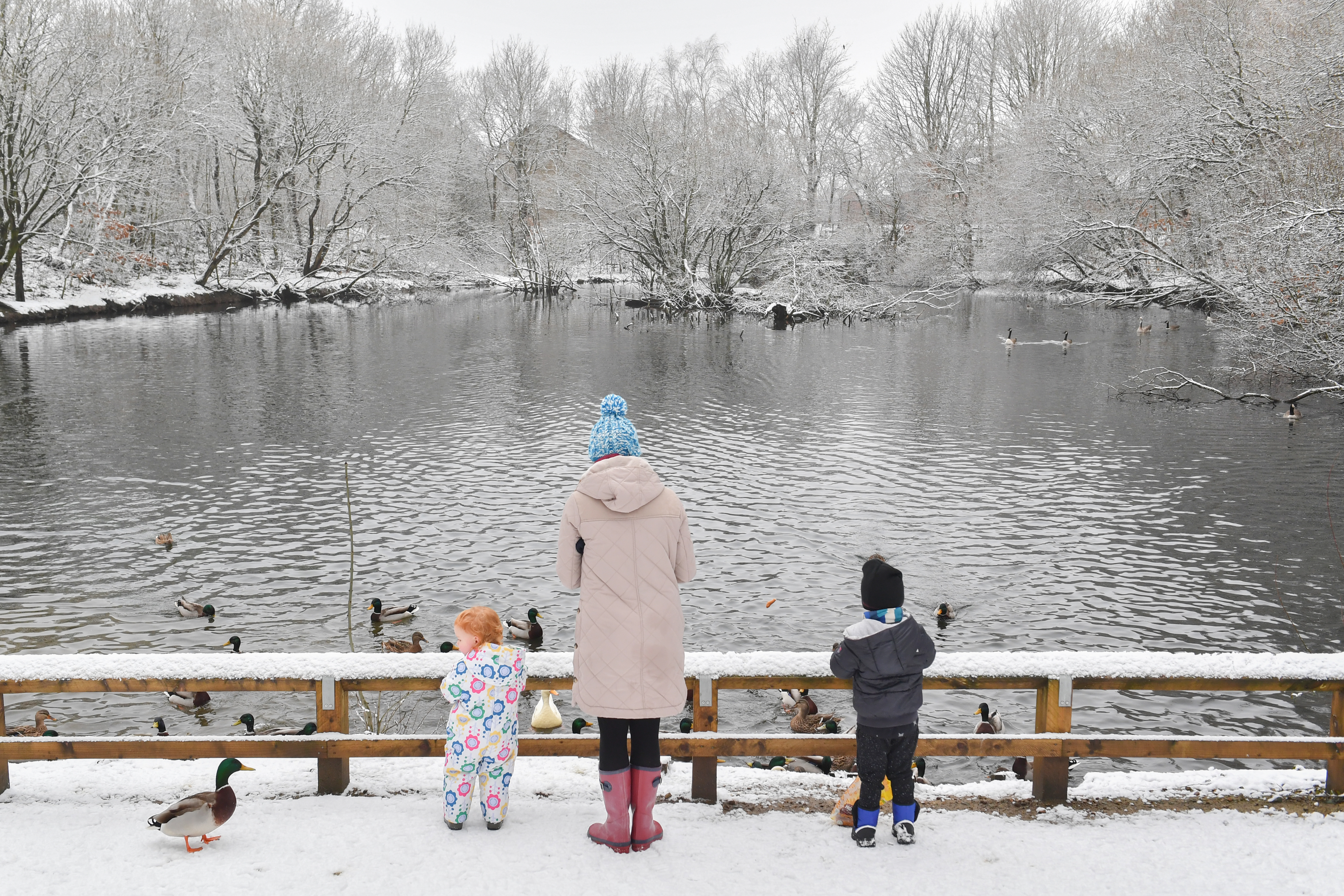 Matilda, two (left), and Oliver, three, feed the ducks with their mother in Stalybridge Country Park on January 30th, 2019, in Lancashire, United Kingdom.