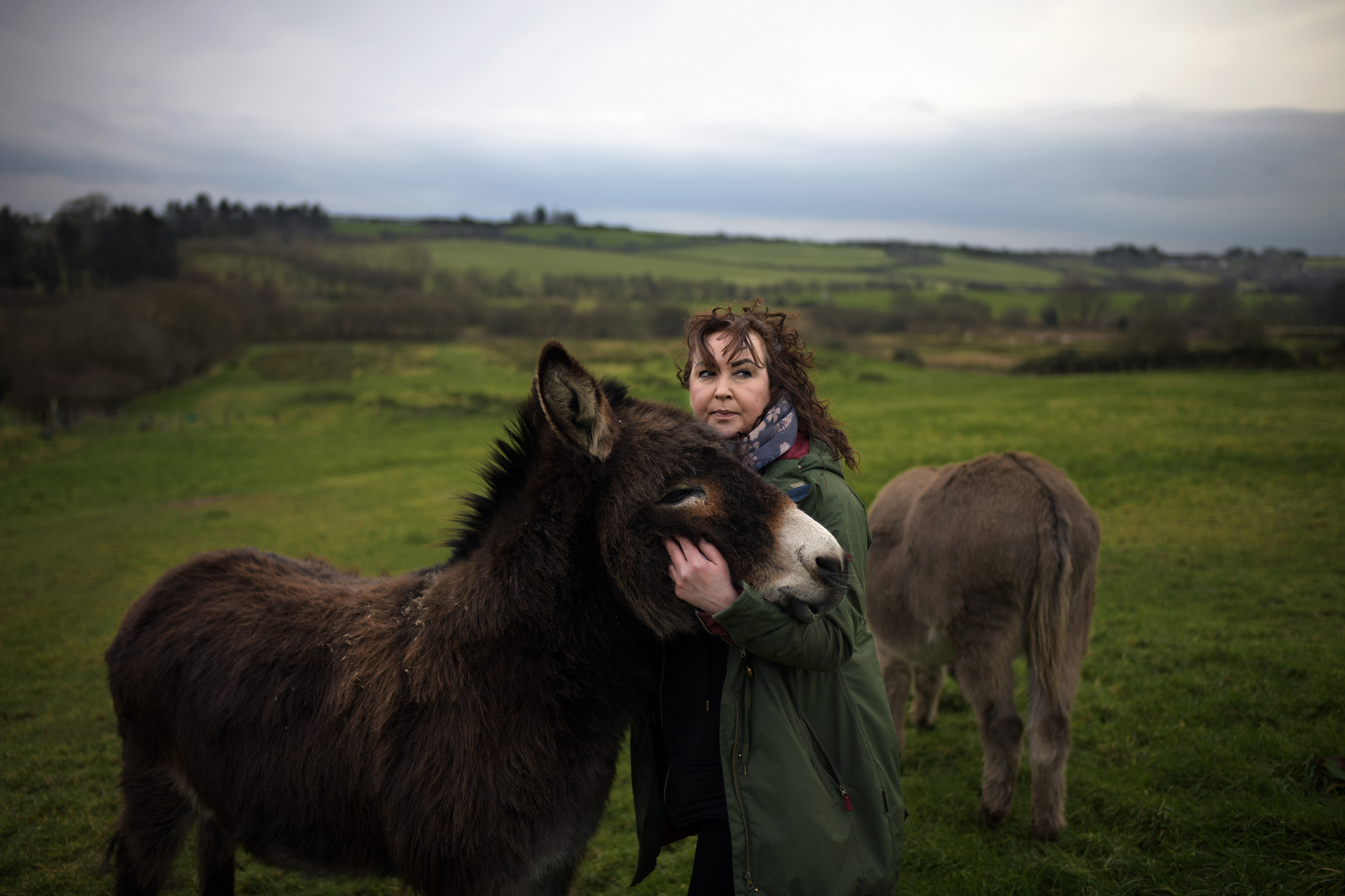 Julie Taylor feeds her donkeys along the Irish border on February 15th, 2019, in Muff, Ireland. Taylor, who lives on the northern side of the border in nearby Londonderry travels the short distance into Ireland to attend to her animals. She says if a hard border returns, 