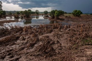 This picture, taken on March 15th, 2019, shows a maize field destroyed by floods in Chikwawa district, Southern Malawi.