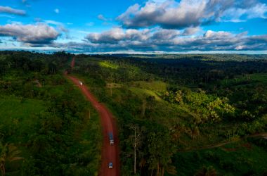 The Brazilian Amazon.