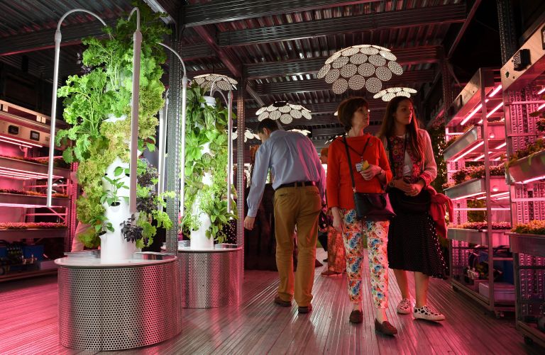 Visitors look at vegetables growing under artificial light on a vertical farm, in the IKEA: Gardening Will Save the World garden, in London on May 20th, 2019.