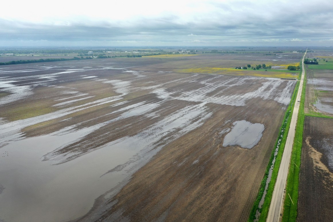 Water pools in rain-soaked farm fields on May 29th, 2019, near Gardner, Illinois.