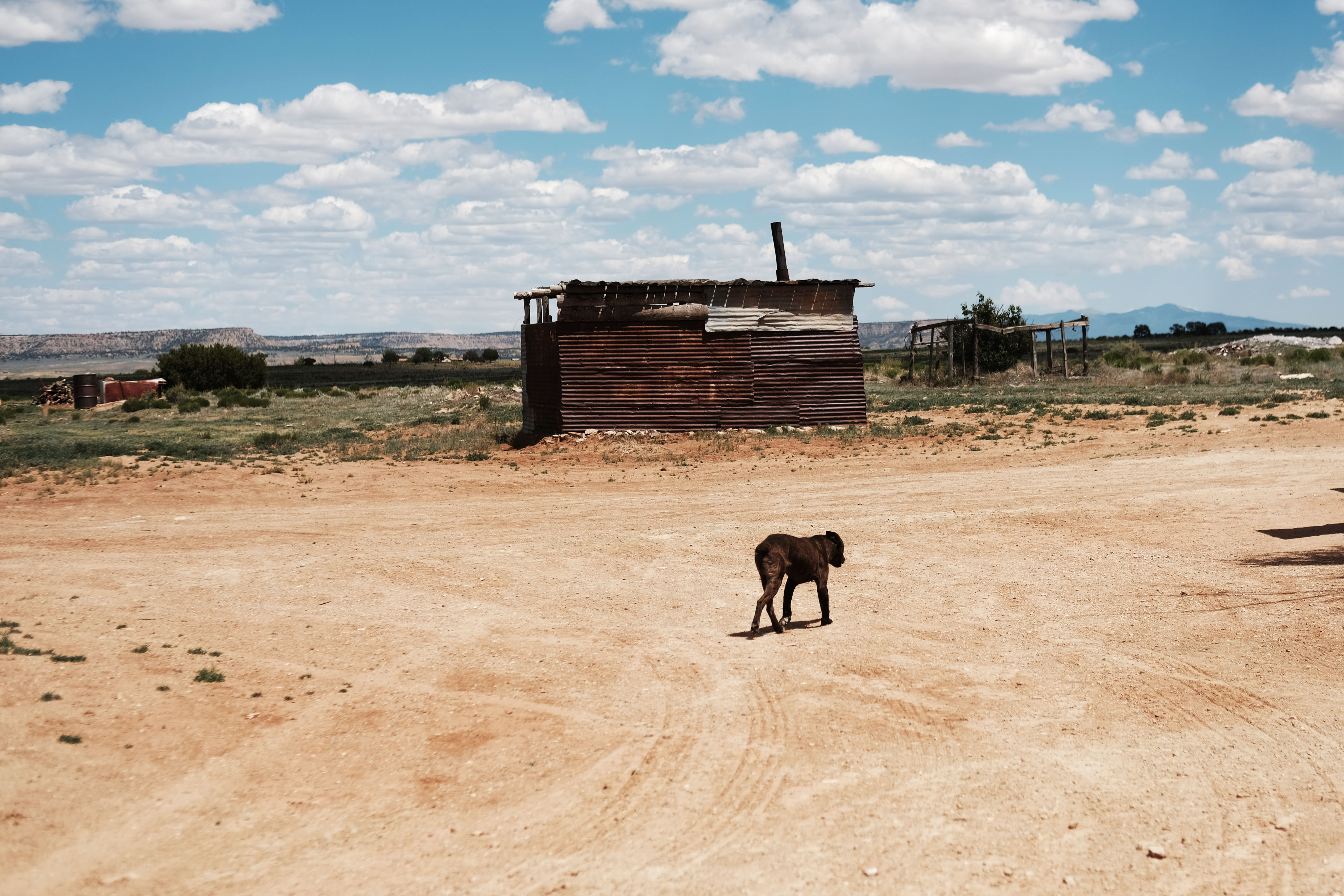 A dog walks by homes in the town of Thoreau on June 6th, 2019. Rising temperatures associated with global warming have worsened drought conditions on Navajo Nation lands over recent decades.