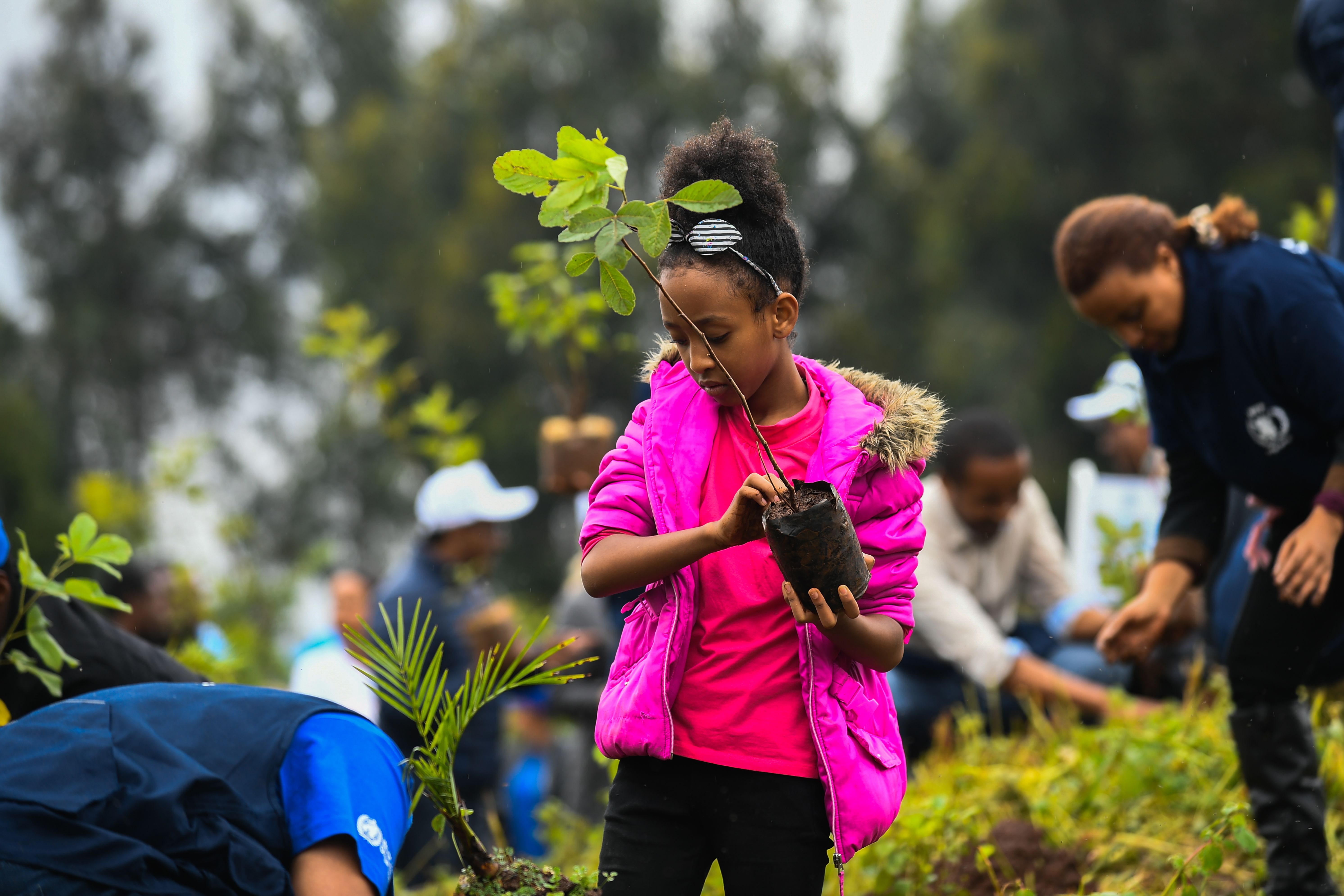 A young girl takes part in a national tree-planting drive in Ethiopia's capital, Addis Ababa, on July 28th, 2019.