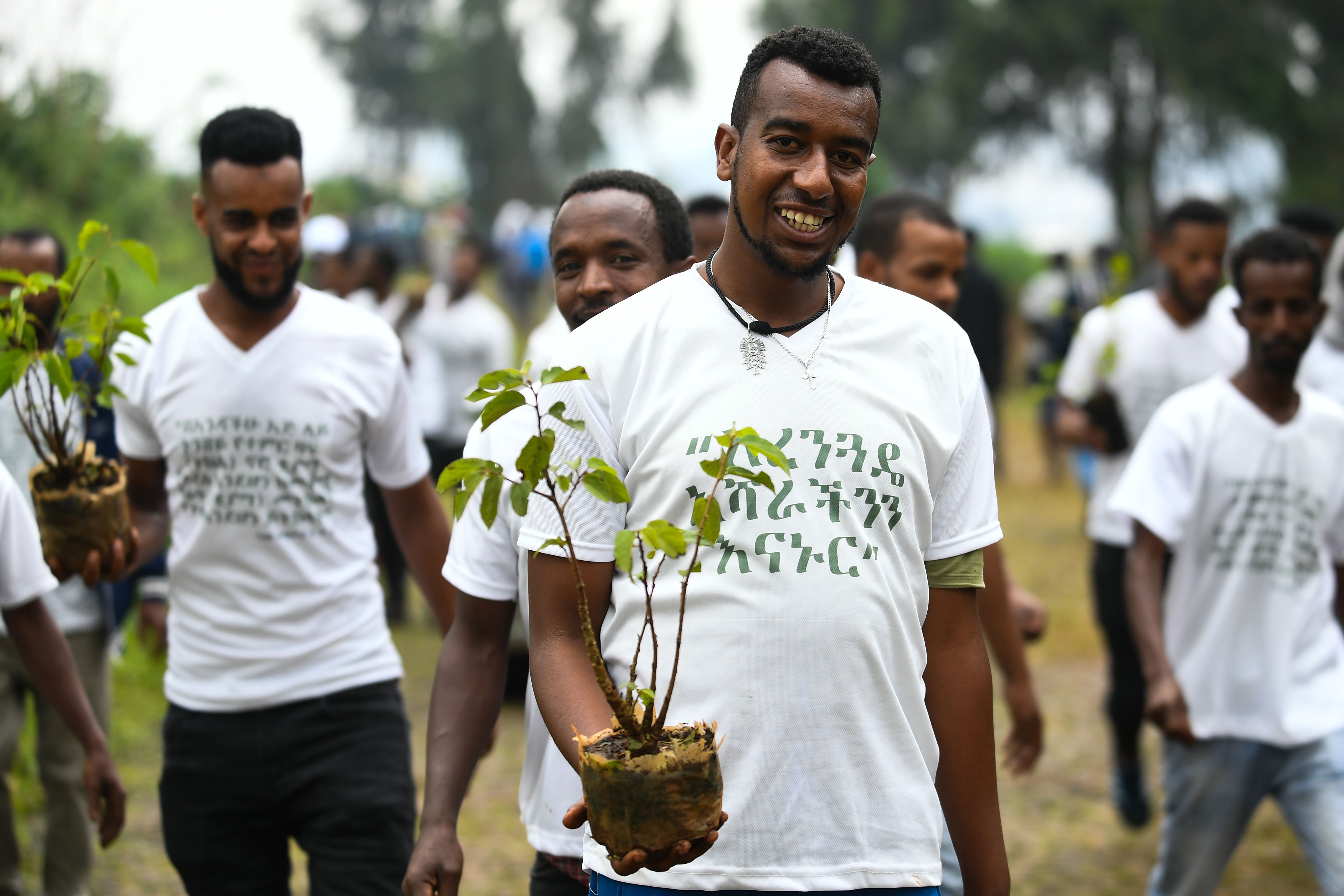 Young Ethiopians take part in a national tree-planting drive in the country's capital, Addis Ababa, on July 28th, 2019. Ethiopia plans to plant four billion trees by October of 2019 as part of a global movement to restore forests to help fight climate change and protect resources. The country says it has planted nearly three billion trees already since May.