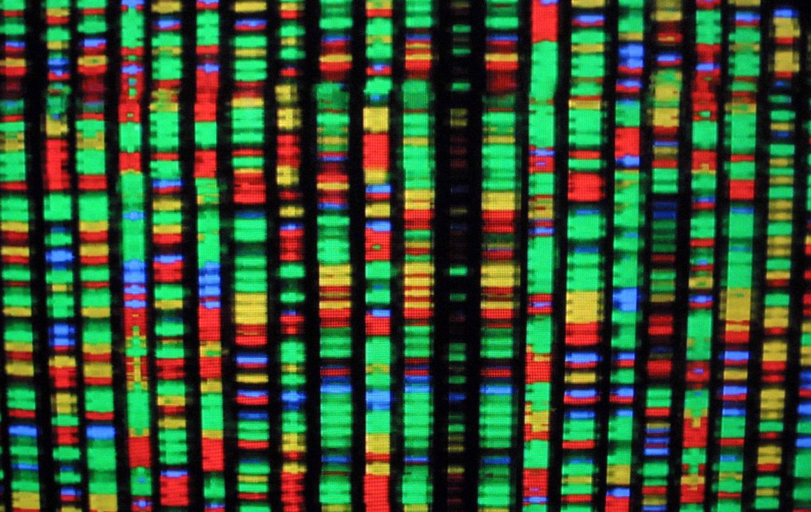 A digital representation of the human genome.