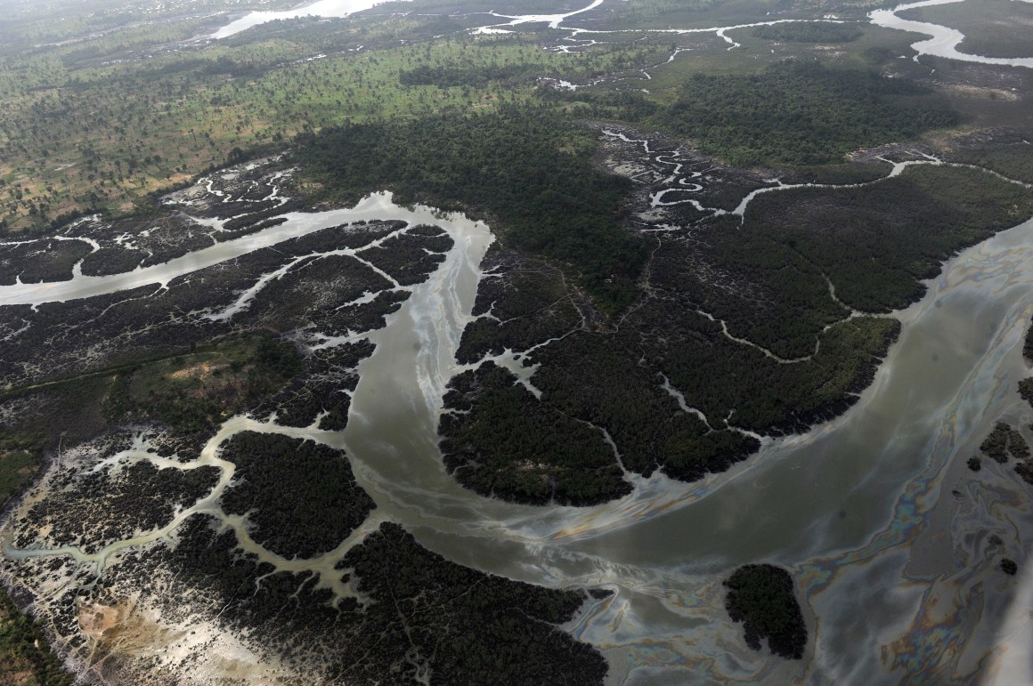 Creeks and vegetations devastated as a result of spills from oil thieves and Shell operational failures in the Niger Delta.