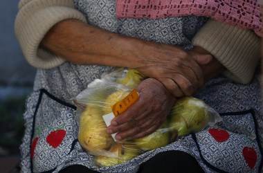 A woman holds a bag of pears as she waits in line to receive free food at the Richmond Emergency Food Bank on November 1st, 2013, in Richmond, California.