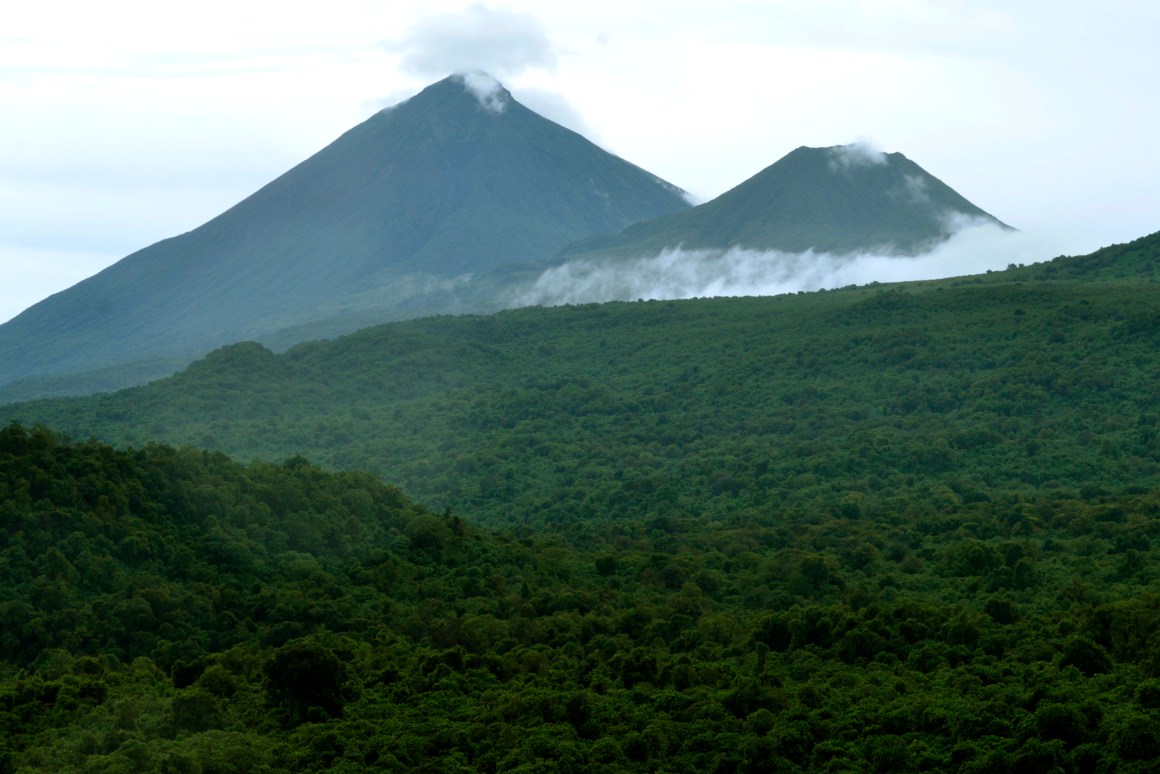 A general view taken on November 5th, 2013, shows forest in the eastern Democratic Republic of Congo North Kivu region.