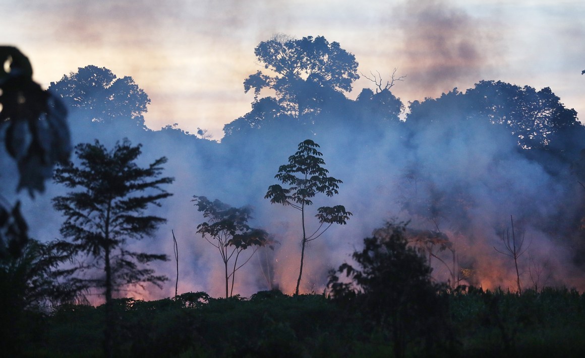 Fire burns in a deforested section in the Amazon lowlands on November 16th, 2013, in Madre de Dios region, Peru.