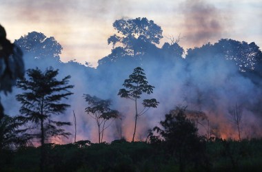 Fire burns in a deforested section in the Amazon lowlands on November 16th, 2013, in Madre de Dios region, Peru.