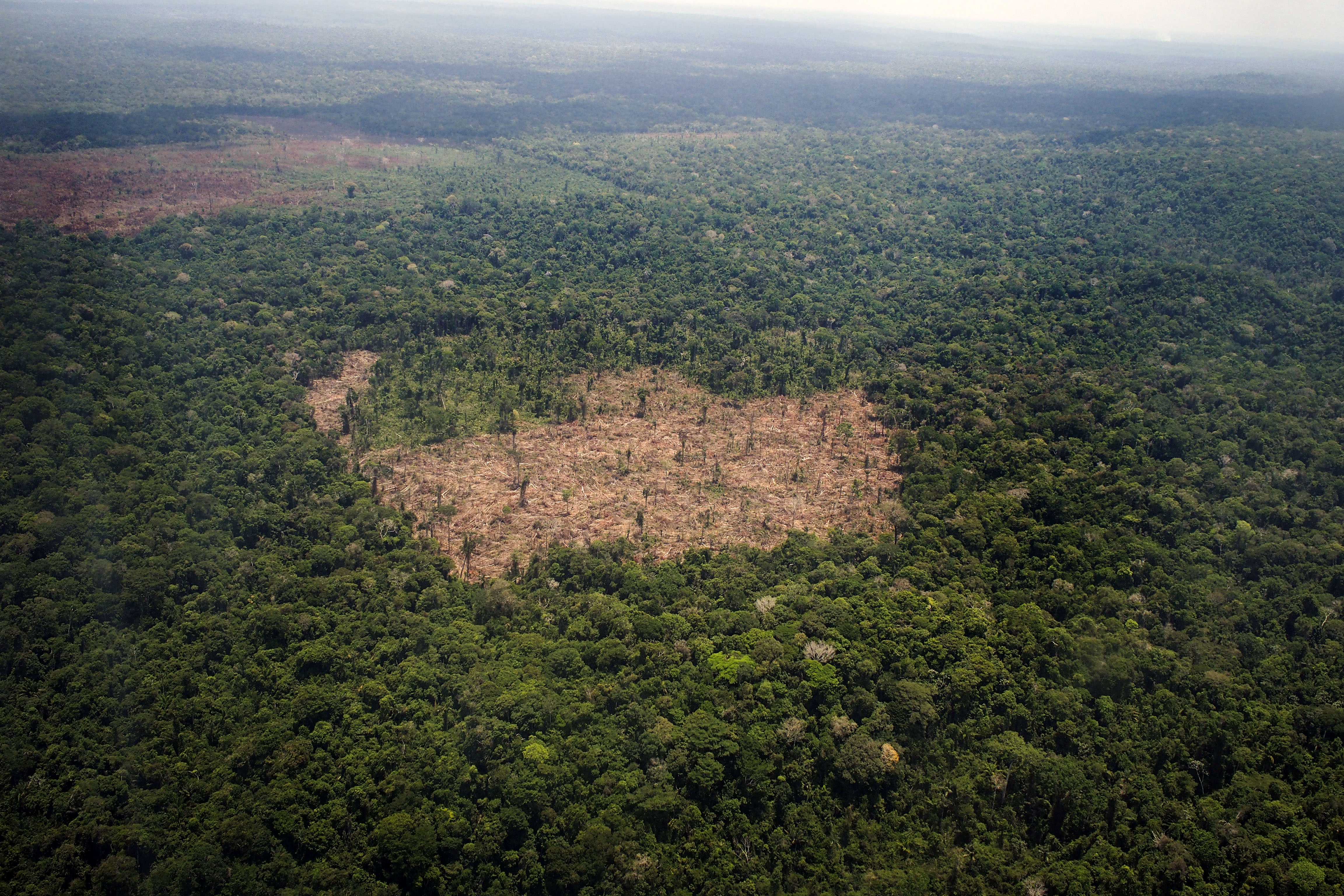 A deforested region of the Amazon.